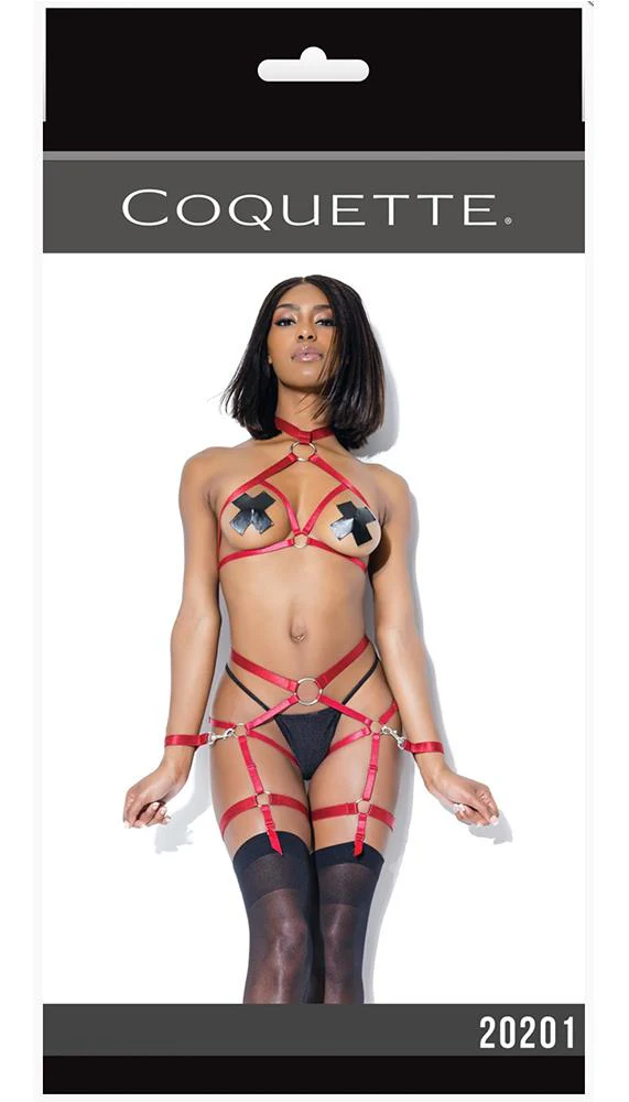 Harness Top & Crotchless Panty Set - Image 3